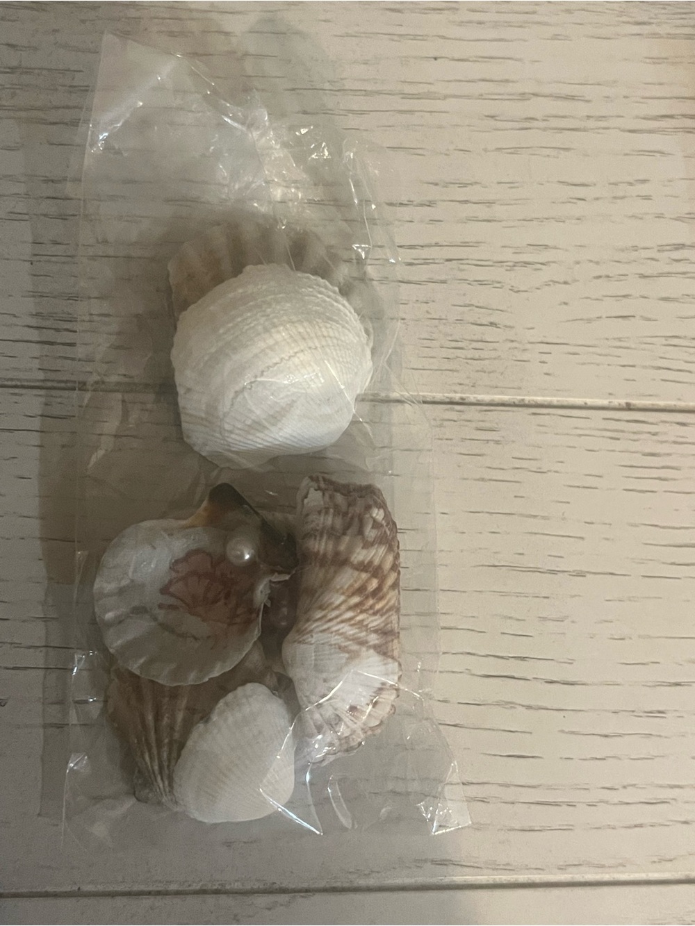 Bag of Small Decoupaged Decorative Seashells with Floral Patterns